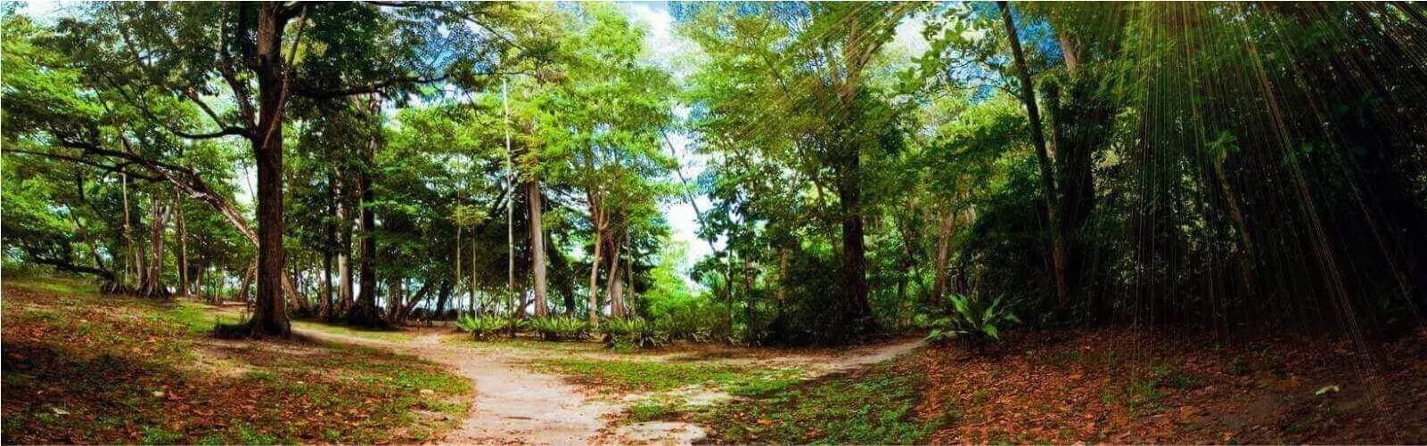 Safe to Break, Ready to Ship | curaJOY Safe to Break, Ready to Ship