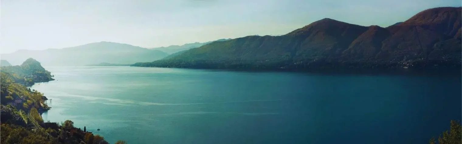 FeatImage55.jpg | curaJOY