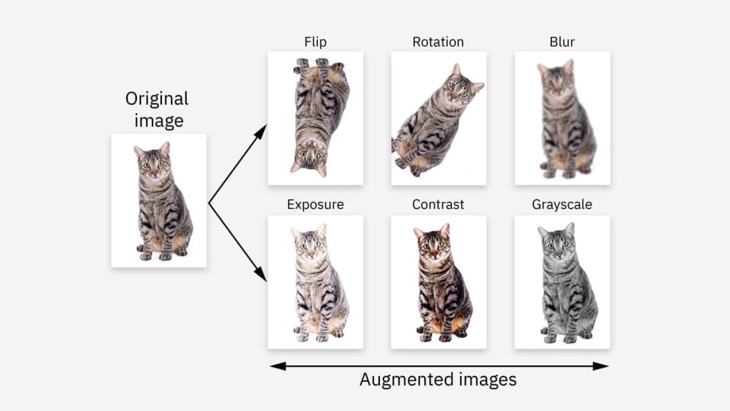 Diagram showing an original image of a tabby cat and six augmented images with variations: flip, rotation, blur, exposure, contrast, and grayscale—illustrating data augmentation techniques often used in data science.