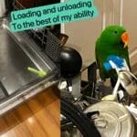 Perspective-Taking To a Happier You (and Those Around You) | curaJOY Perspective-Taking To a Happier You (and Those Around You)